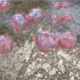 Nivolumab plus chemo shows increased response, decreased safety in NSCLC